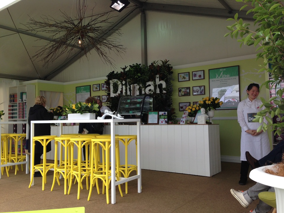 Dilmah Brand Activation-12