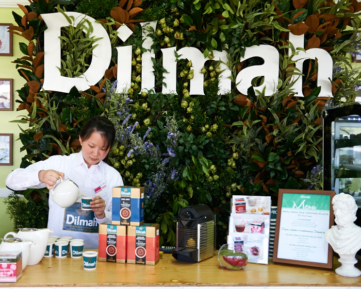 Dilmah Brand Activation-9