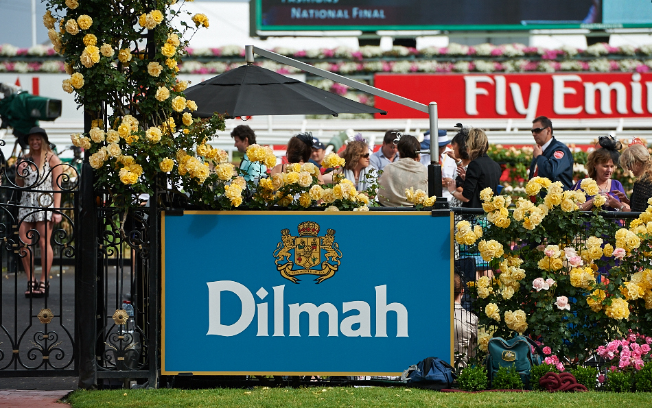 Dilmah Hospitality Marquee_DSC7824