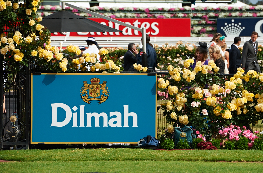 Dilmah Hospitality Marquee_DSC7829